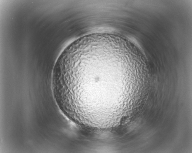 X0000060811103200512011753