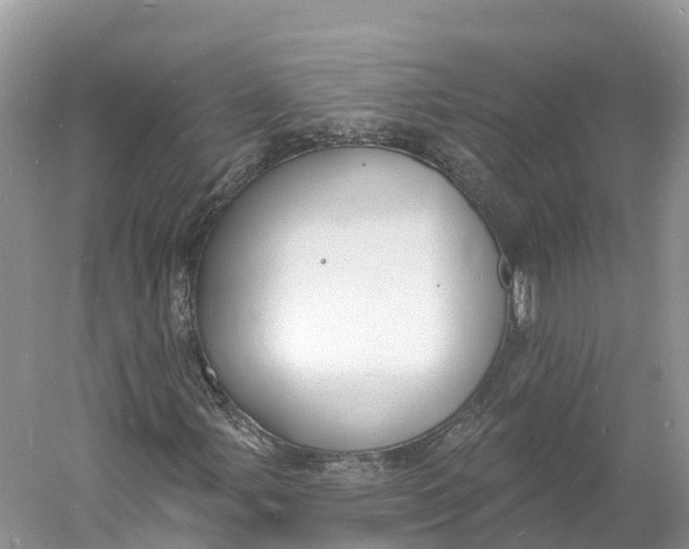 X0000060811107200512011752
