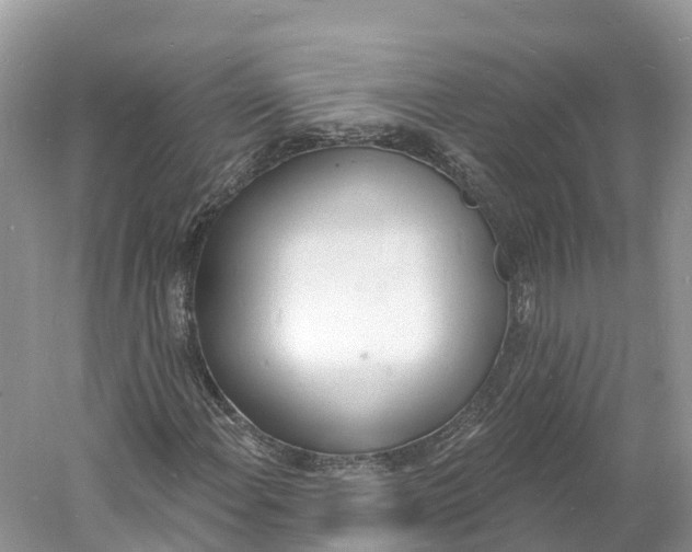 X0000060811108200512011752