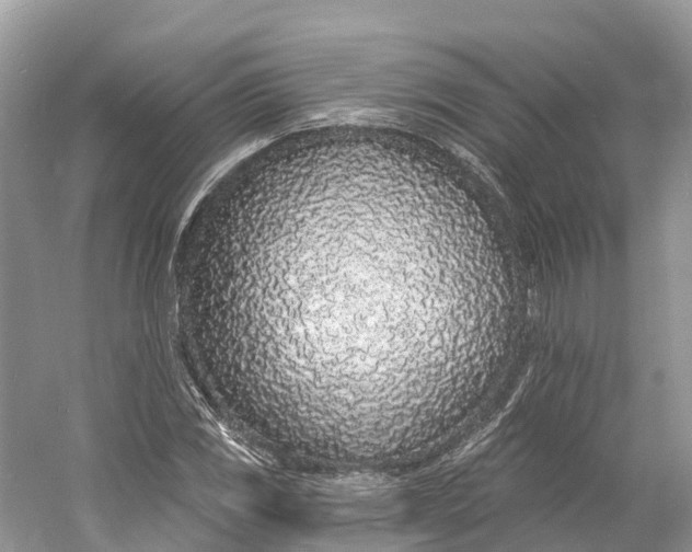 X0000060811117200512011752