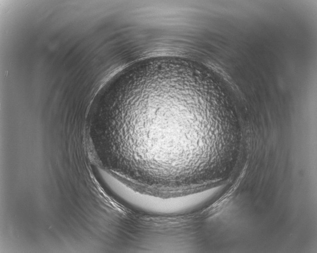 X0000060811121200512011752