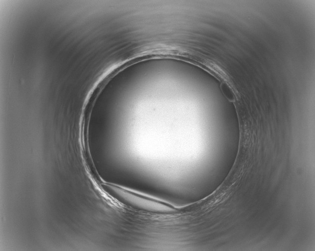 X0000060811128200512011753