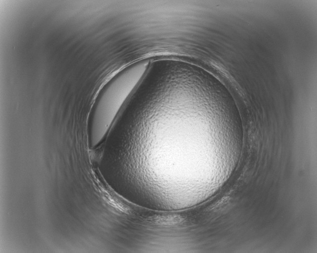 X0000060811129200512011753
