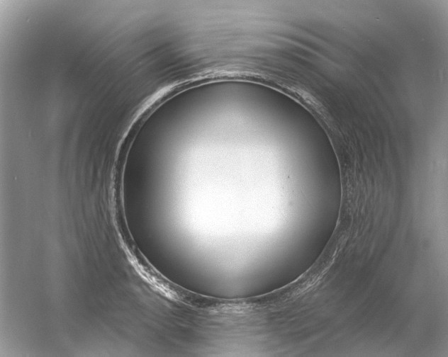X0000060811134200512011753