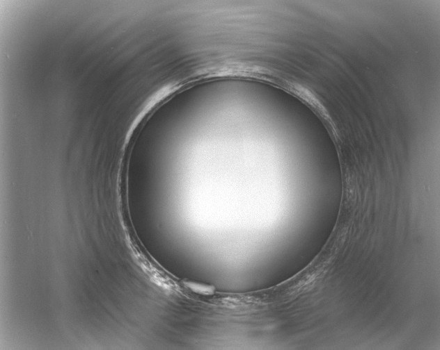 X0000060811138200512011753