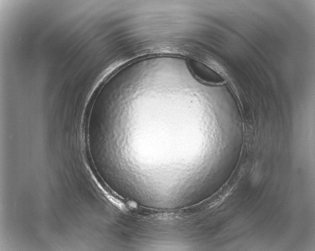 X0000060811141200512011753