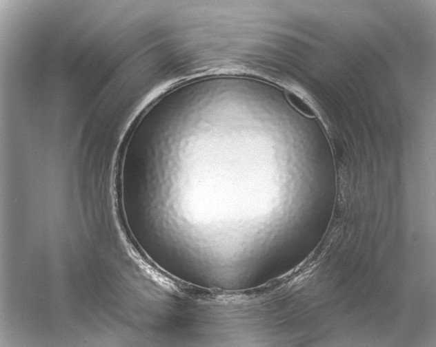 X0000060811142200512011753