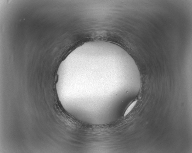 X0000060811153200512011752