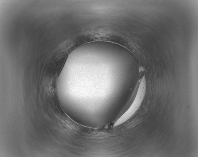 X0000060811156200512011752