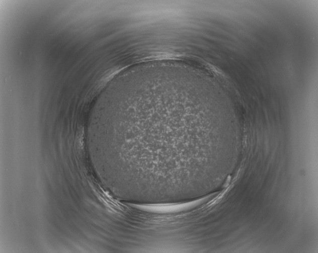 X0000060811161200512011752