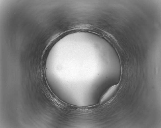 X0000060811168200512011752