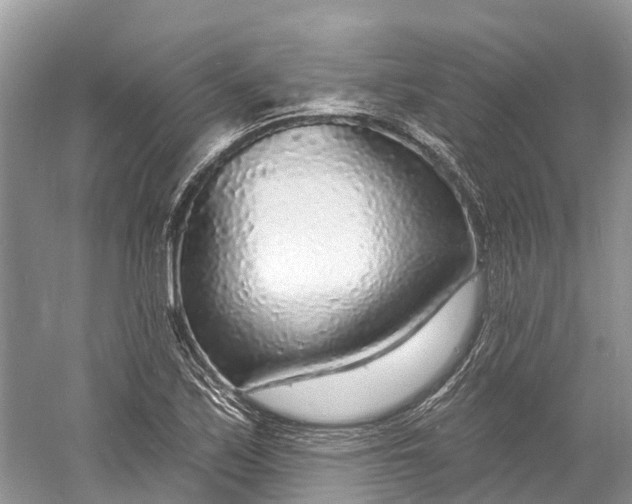 X0000060811171200512011752