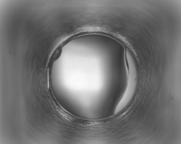 X0000060811175200512011752