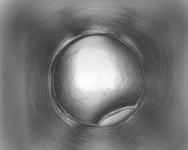 X0000060811179200512011752