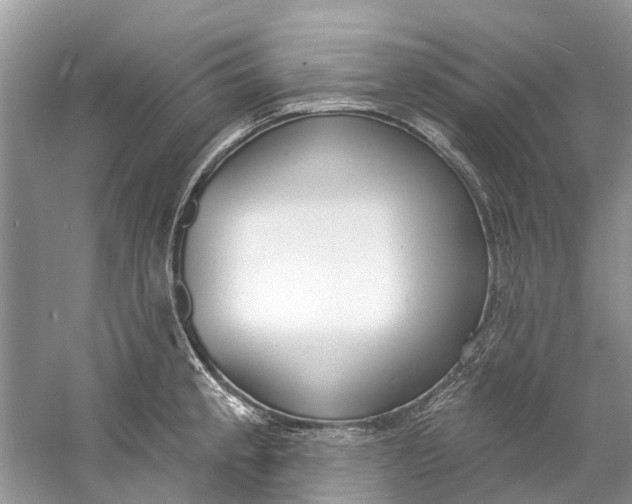 X0000060811189200512011751
