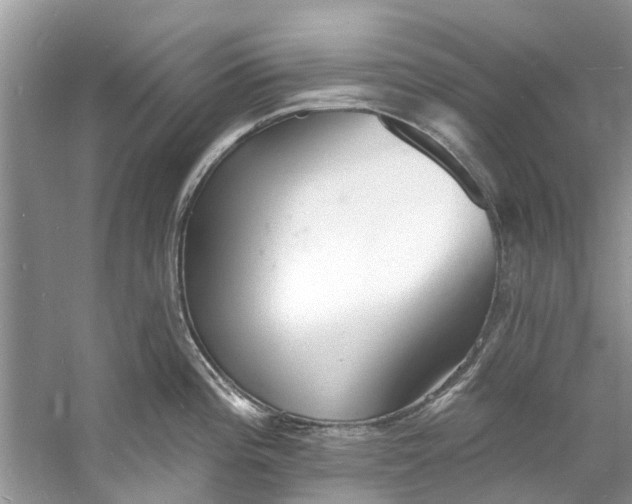 X0000060811196200512011751