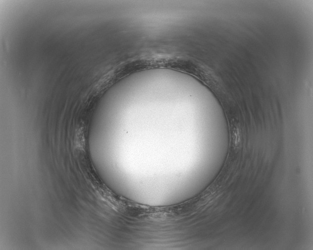 X0000060811204200512011751