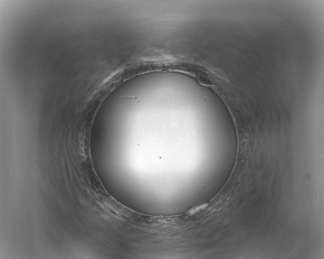 X0000060811205200512011751