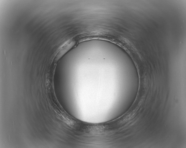 X0000060811210200512011751