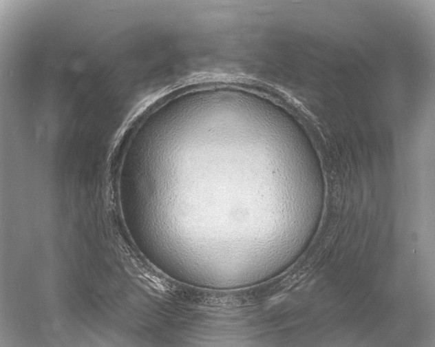 X0000060811215200512011751
