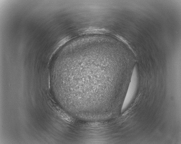 X0000060811219200512011751