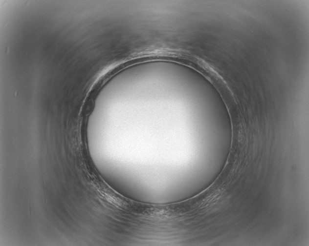 X0000060811222200512011751