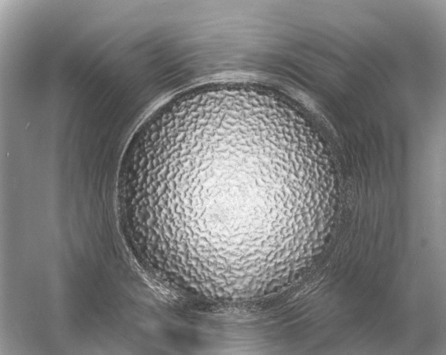 X0000060811229200512011751