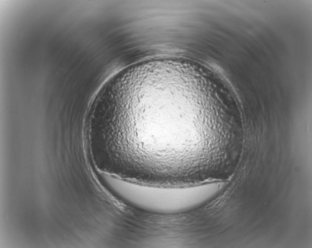 X0000060811235200512011751