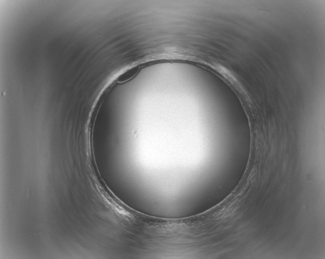 X0000060811238200512011751