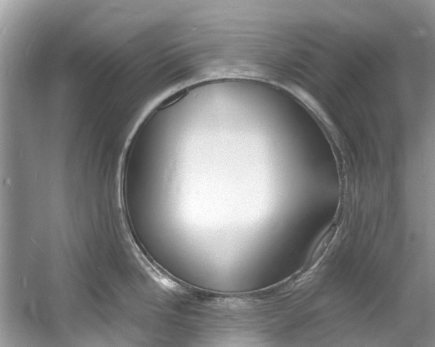 X0000060811246200512011751