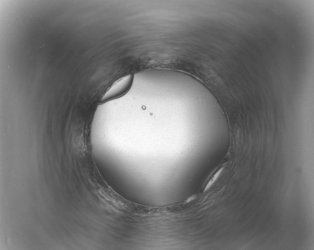 X0000060811250200512011750