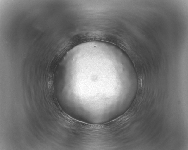 X0000060811251200512011750