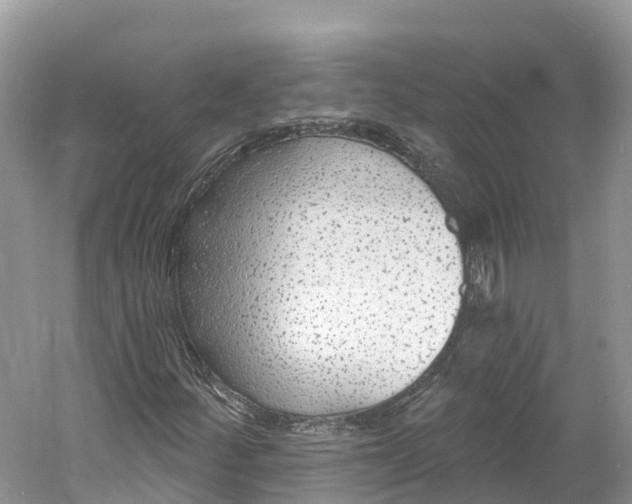 X0000060811252200512011750