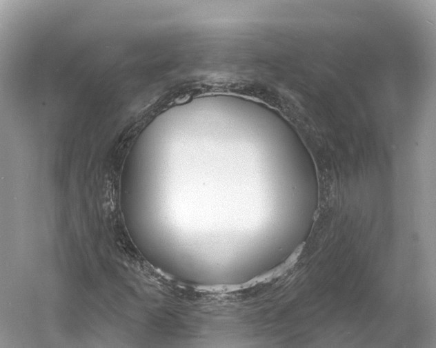 X0000060811253200512011750