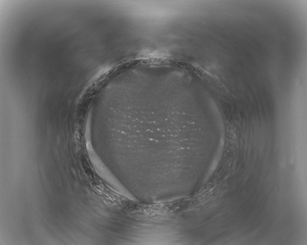 X0000060811254200512011750