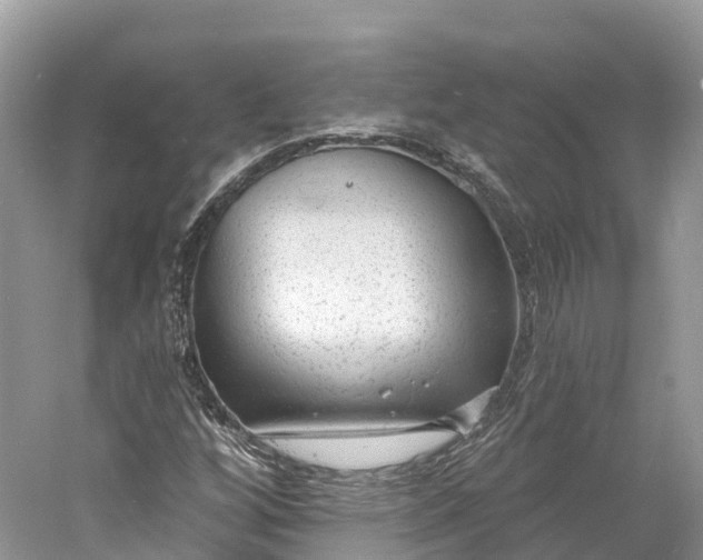 X0000060811256200512011750