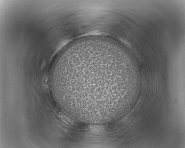 X0000060811258200512011750