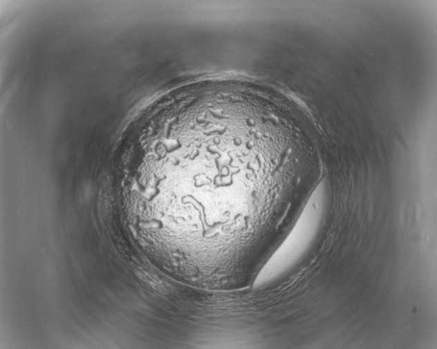 X0000060811263200512011750