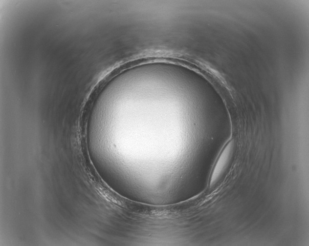 X0000060811264200512011750