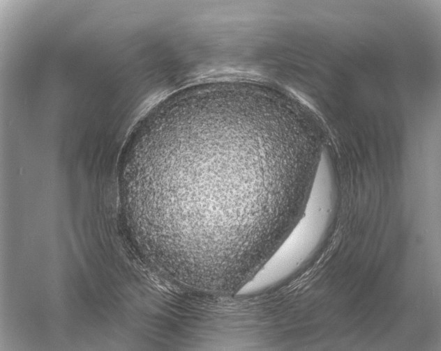 X0000060811267200512011750
