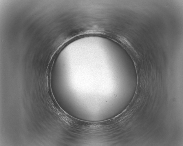 X0000060811268200512011750