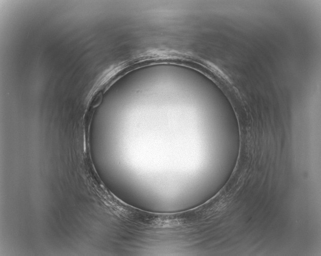 X0000060811269200512011750