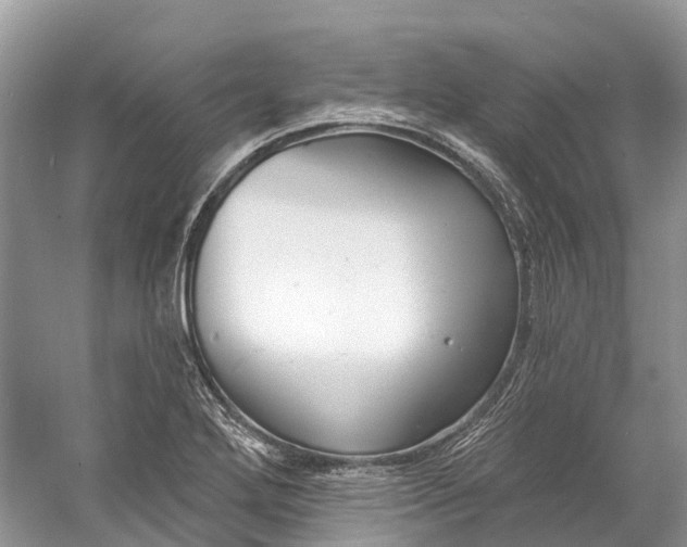 X0000060811272200512011750