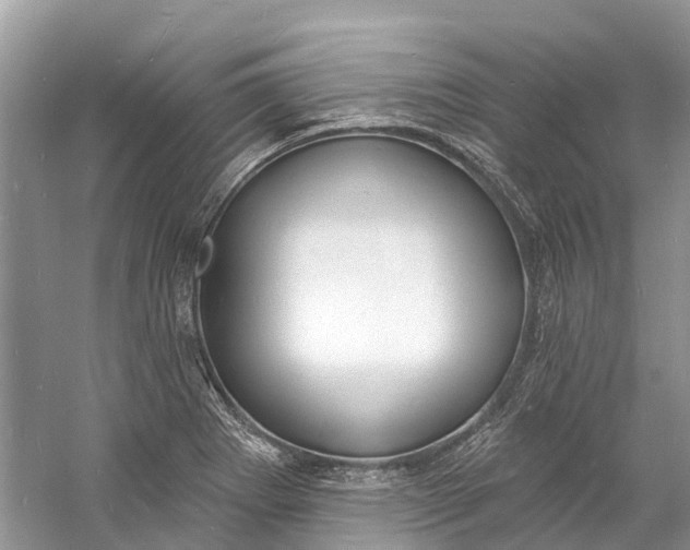 X0000060811273200512011750