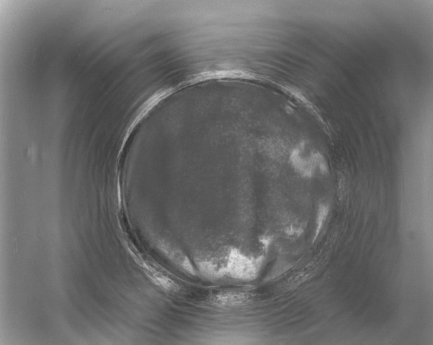X0000060811274200512011750