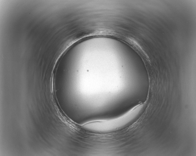 X0000060811276200512011750