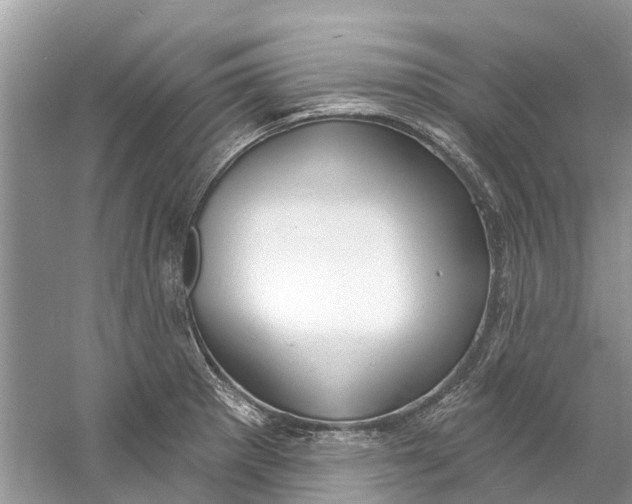 X0000060811281200512011750