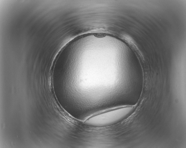 X0000060811284200512011750