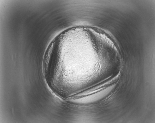 X0000060811295200512011750