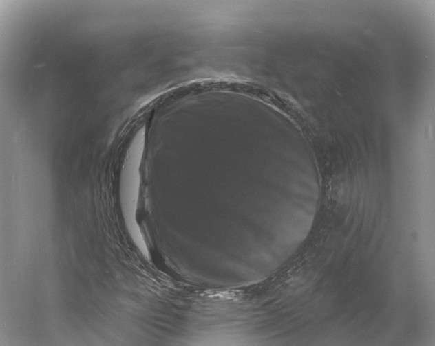 X0000060811303200512011749